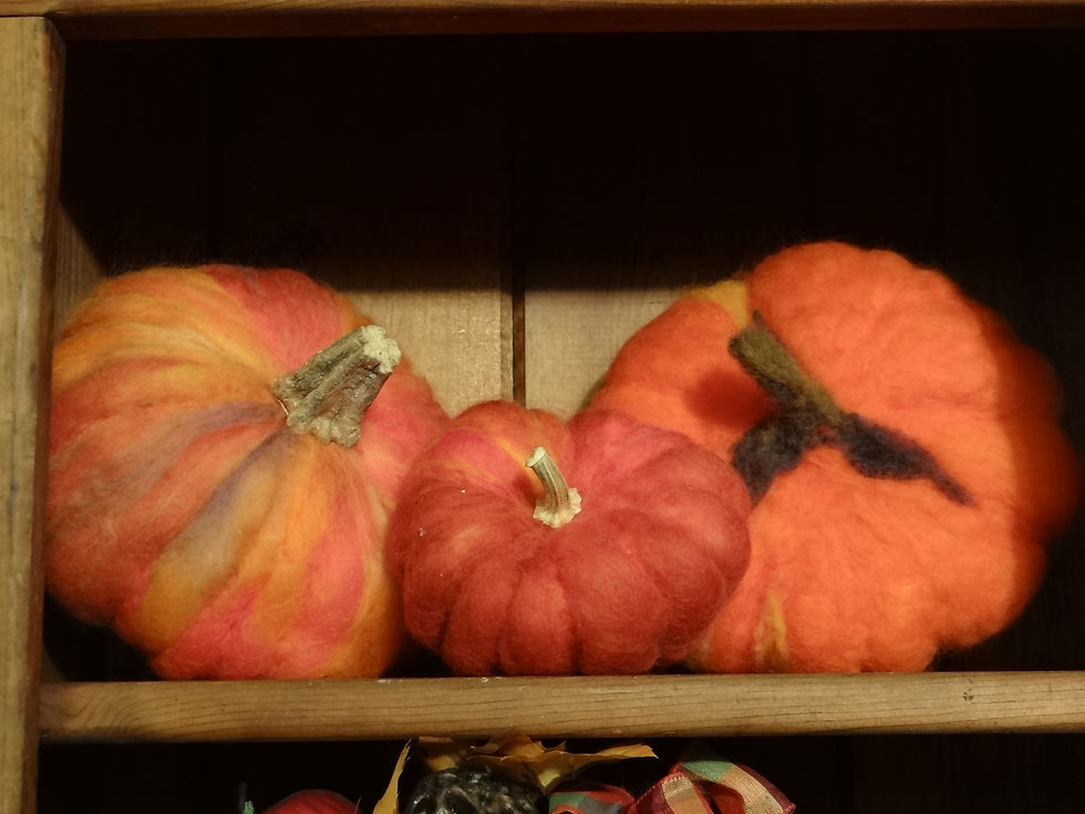 Pumpkin patch felted