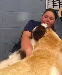 San Juan Animal Hospital Bathing