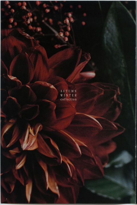 渋い花のカバー写真