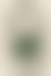 Classical nude statue with electronic circuit board fig leaf