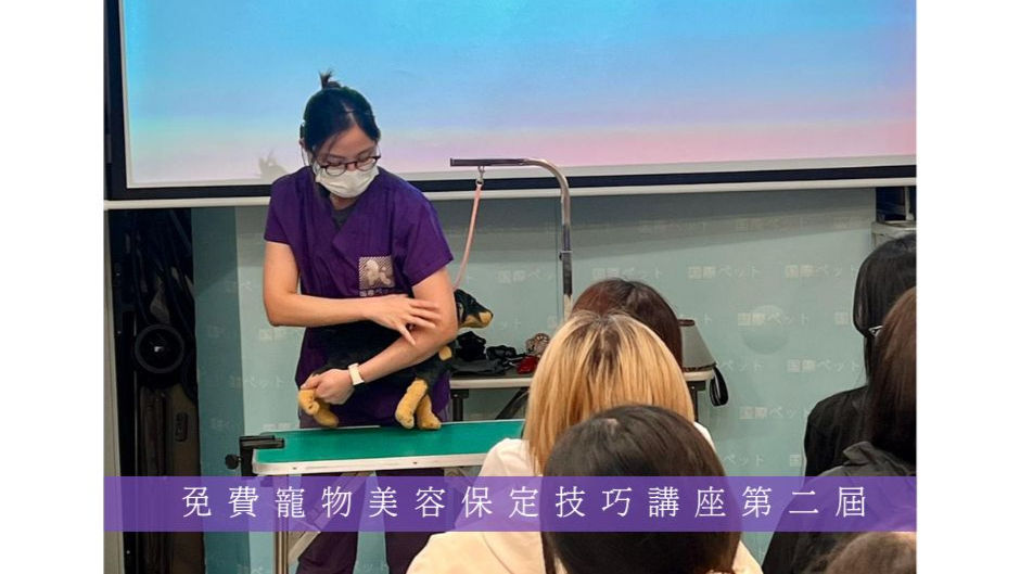 免費寵物美容保定技巧講座第二屆