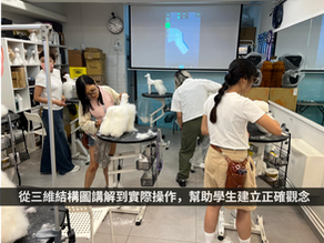精準剪裁的美學