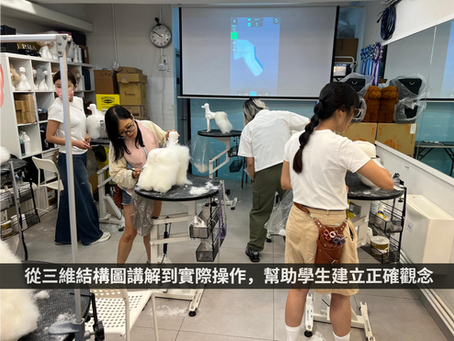 精準剪裁的美學