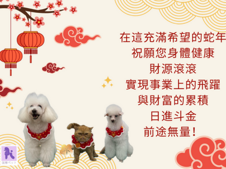謹賀蛇年新春,福氣滿盈!
