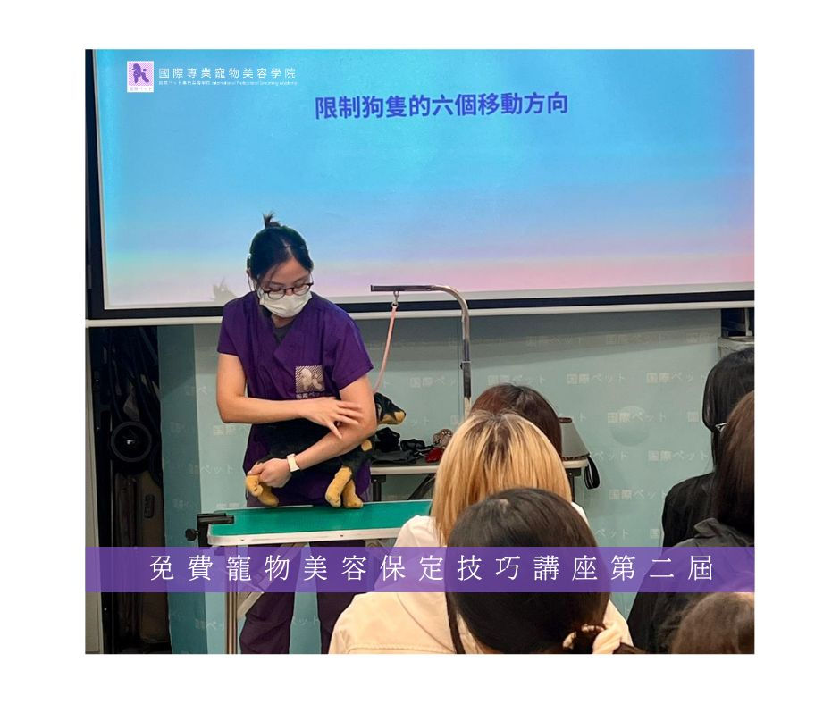 免費寵物美容保定技巧講座第二屆
