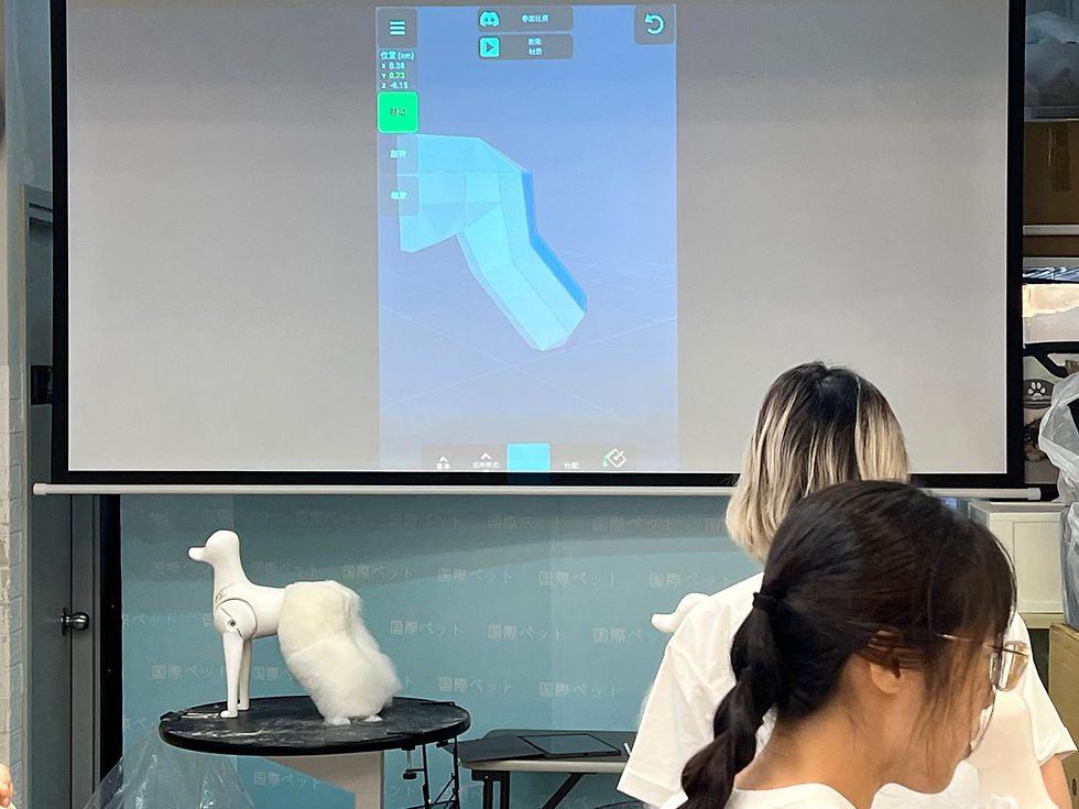 精準剪裁的美學