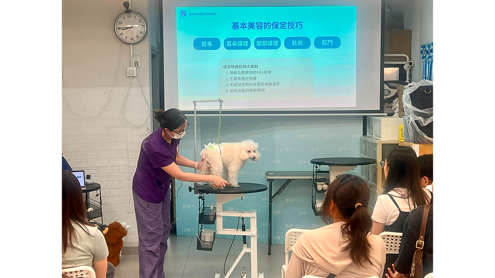 寵物美容保定講座