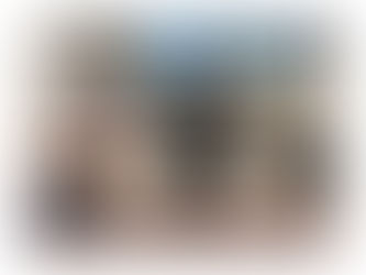 比熊布朗頭造型仿毛修剪班