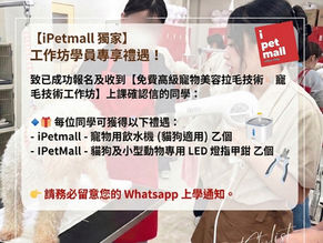 免費高級寵物美容拉毛技術工作坊
