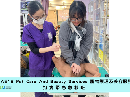 香港都會大學李嘉誠專業進修學院 DAE19 Pet Care And Beauty Services 寵物護理及美容服務