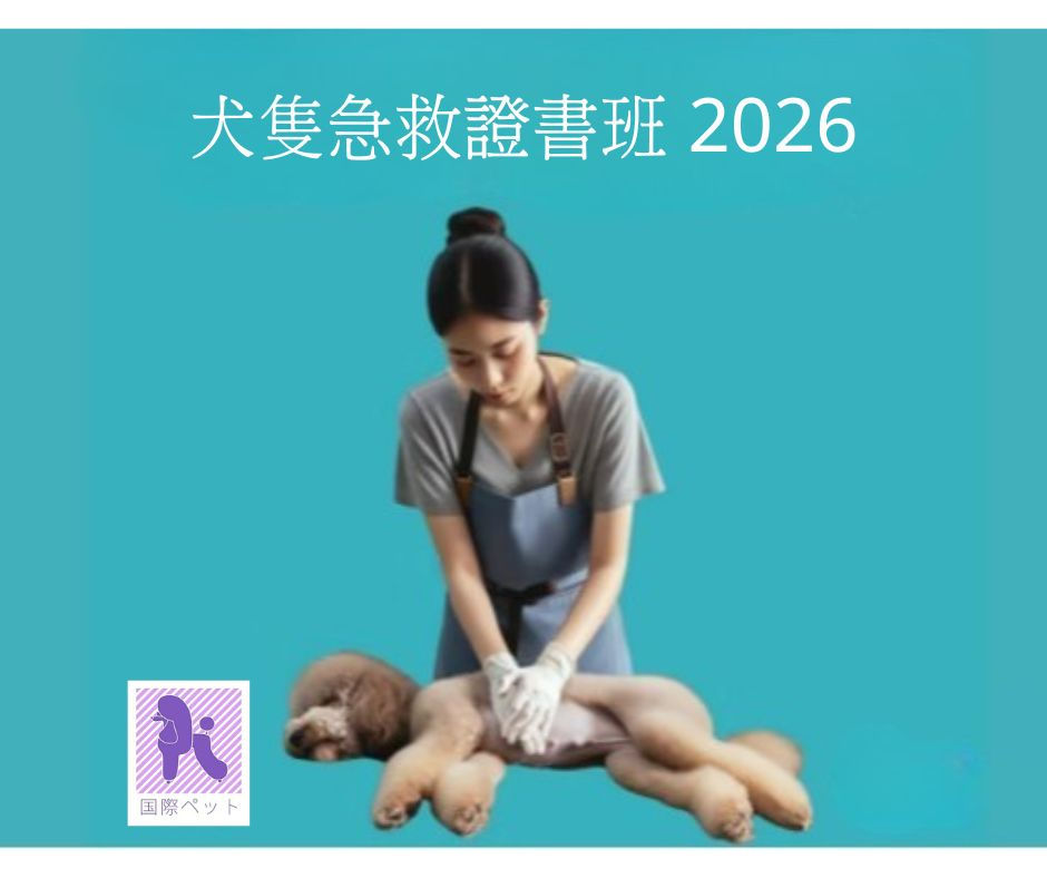 犬隻急救證書班 2026