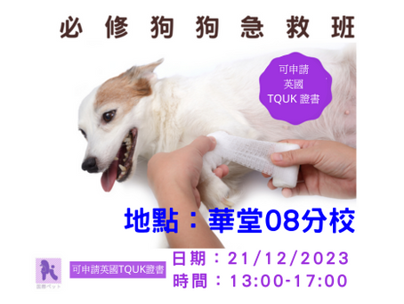 寵物急救及包紮班【可申請英國TQUK證書】12/2023
