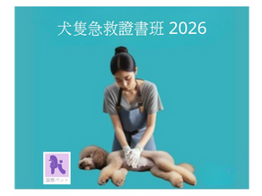 犬隻急救證書班 2026