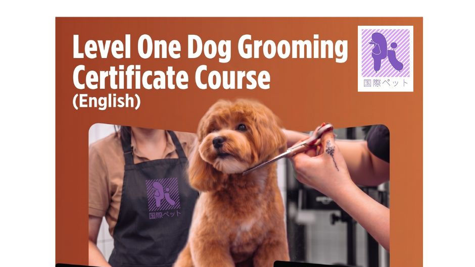 Level One Dog Grooming Certificate Course (English) 