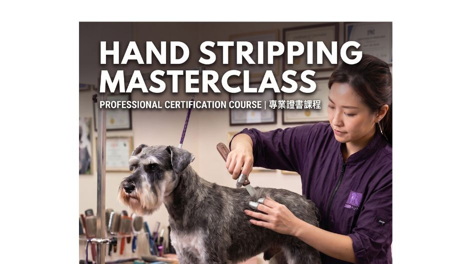 HAND STRIPPING MASTERCLASS