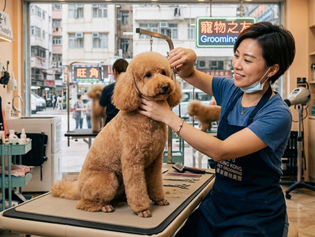 免費寵物美容保定技巧講座