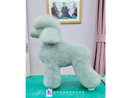 CKU 考試前的學習過程