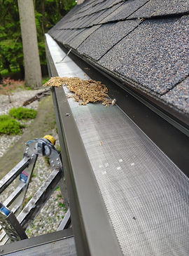 Gutter Guard 1.jpg