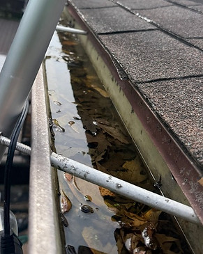 Clogged Gutter 5.jpg