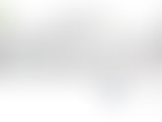 RELATÓRIO FÍSICO-FINANCEIRO 2019