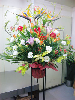 2009年12月04日_091204_192729.jpg