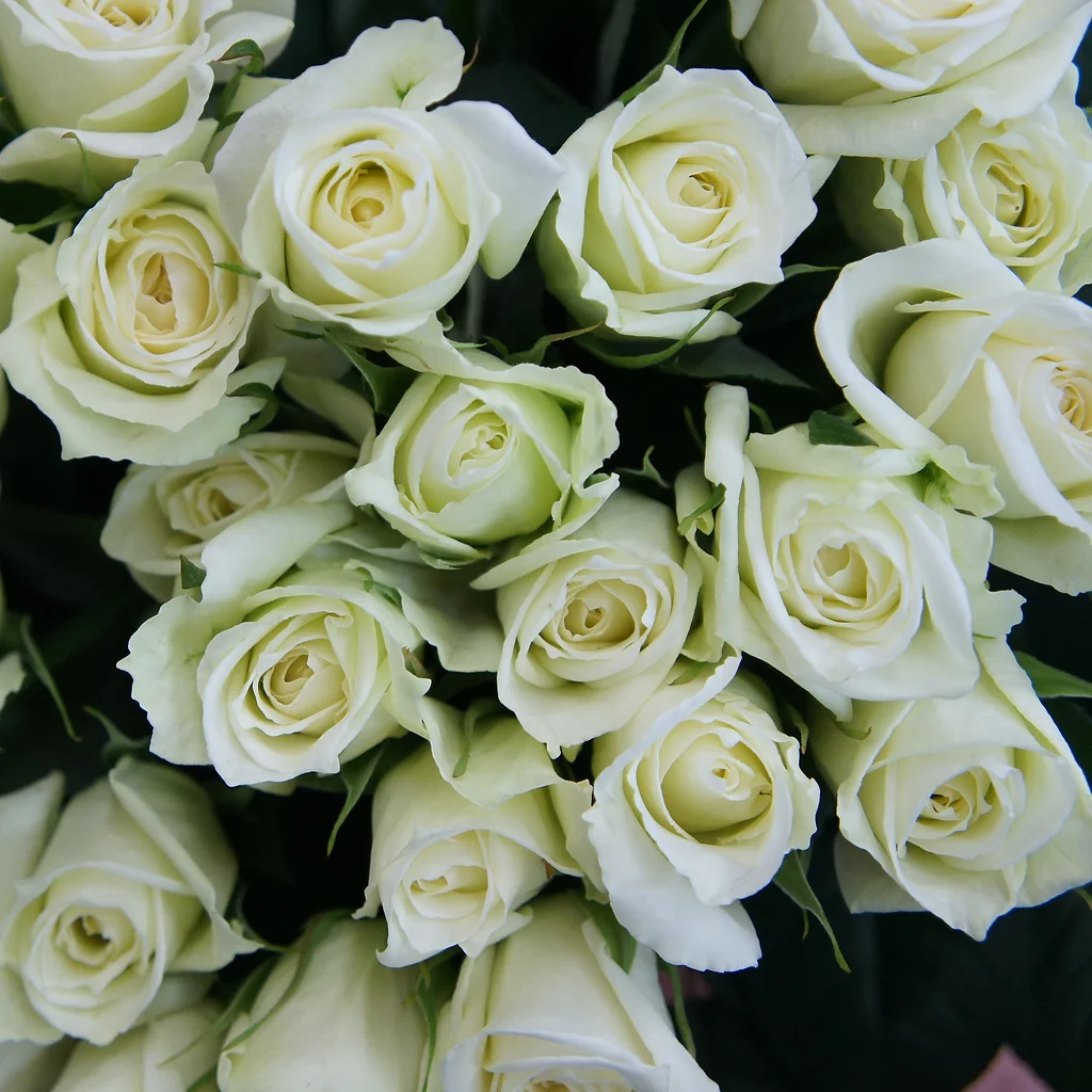 釧路市 花屋 フローリスト花菜