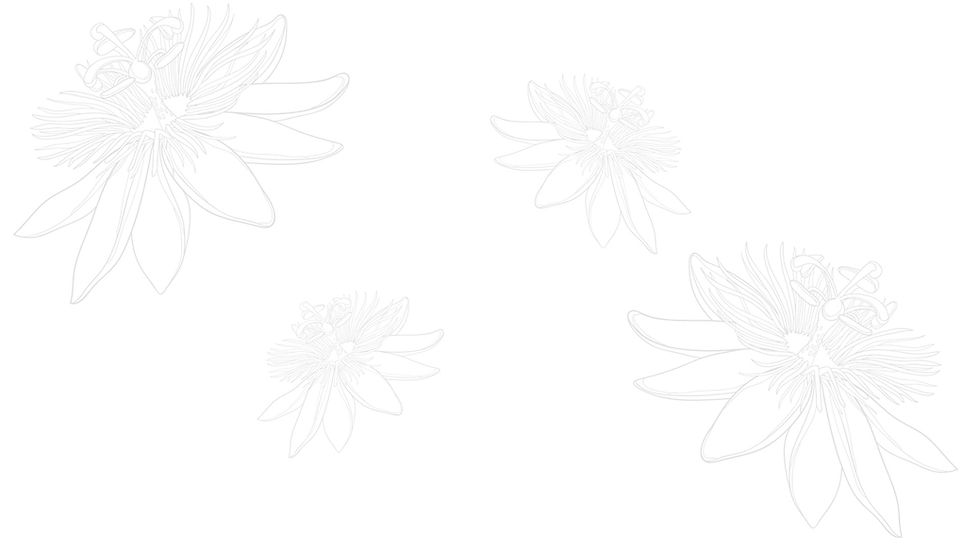PAssionsblume_Hintergrund_edited.jpg