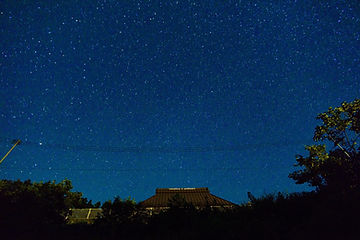 image_6483441.JPG