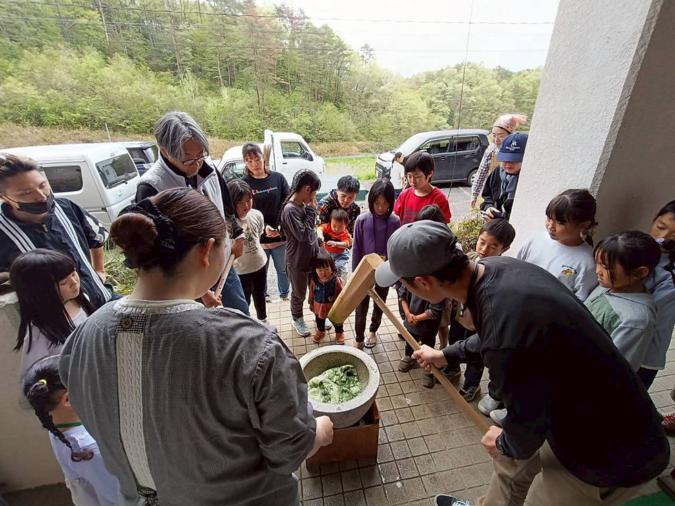 美味しい山菜を食べる会２０２６