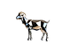 Untitled-6.png