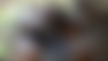 PBA 2025 : Bridging Horizons!