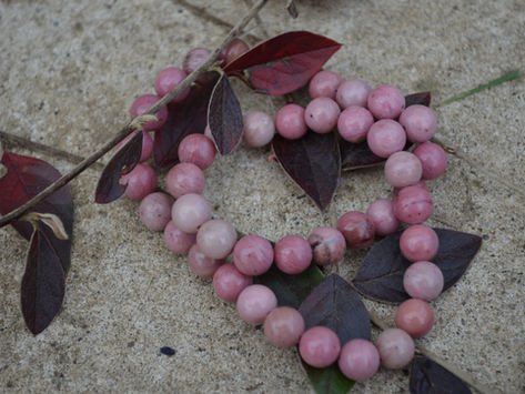 Le bracelet apaisant