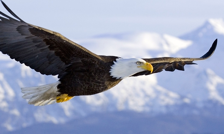 EOG_header.png