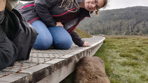 Bucket List inspiration: Tasmania and NSW