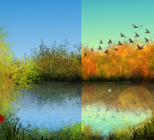 WITH EDIT (1).png