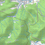 Thumbnail: Install topographic map of Brazil