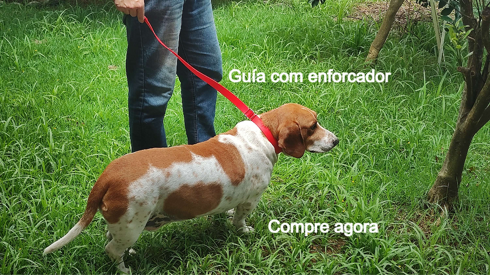 Guía com enforcador