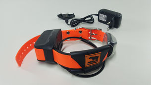 Coleiras restauradas disponíveis para venda!