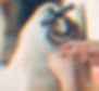 Untitled design (18)_edited.jpg