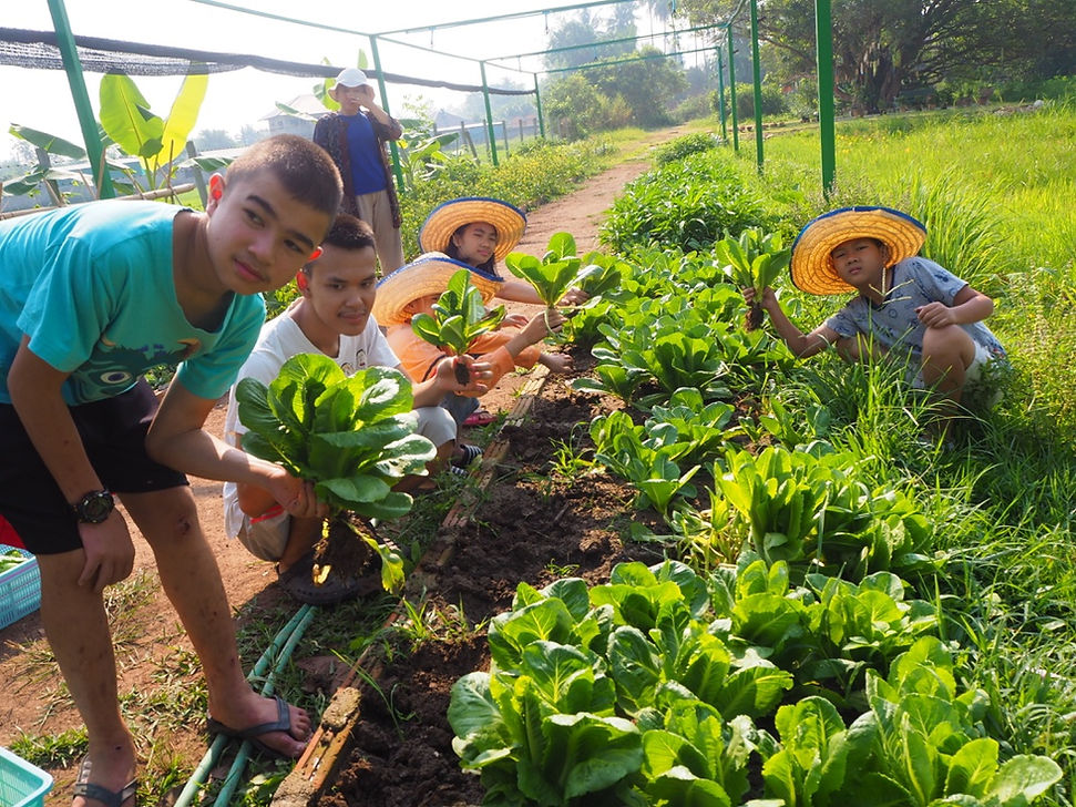 PPP Featured Image 4.jpg