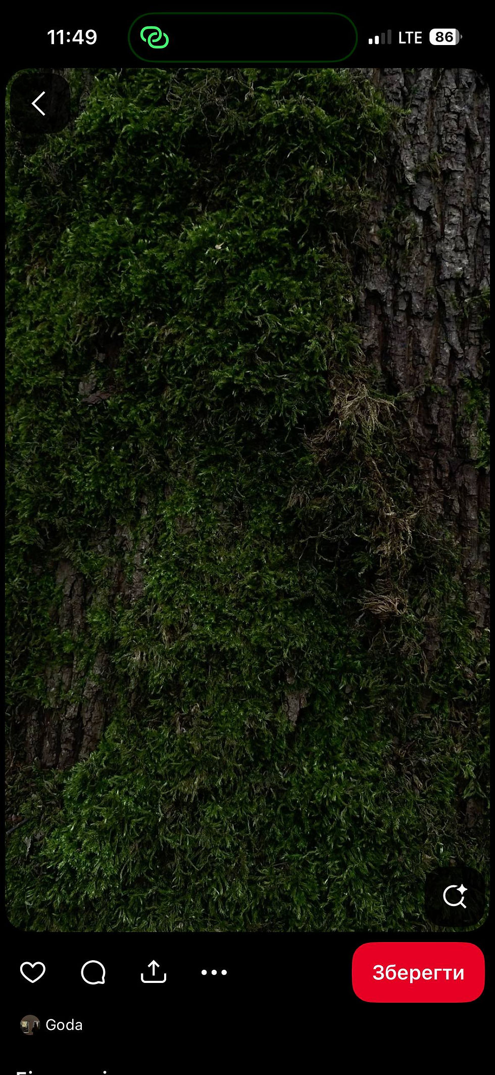 photo_2025-12-15 12.32.38.jpeg