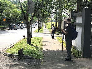 monkey-guards-4.jpg