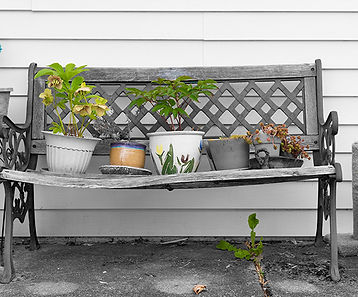 tnr-hauling-patio-furniture-removal-fairfield-ca.jpg