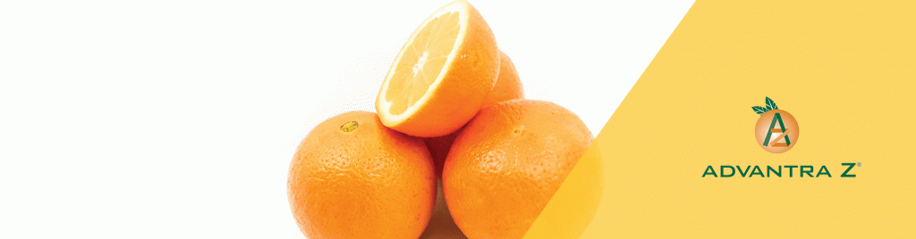 Advantra Z.gif