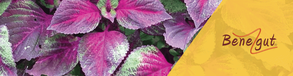 24a65b6987168bc8b9330179d5c832ff.gif