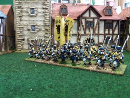 Scanian War Swedish Infantry