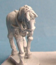 Horse with Bridle and Reins, Docked Tail,