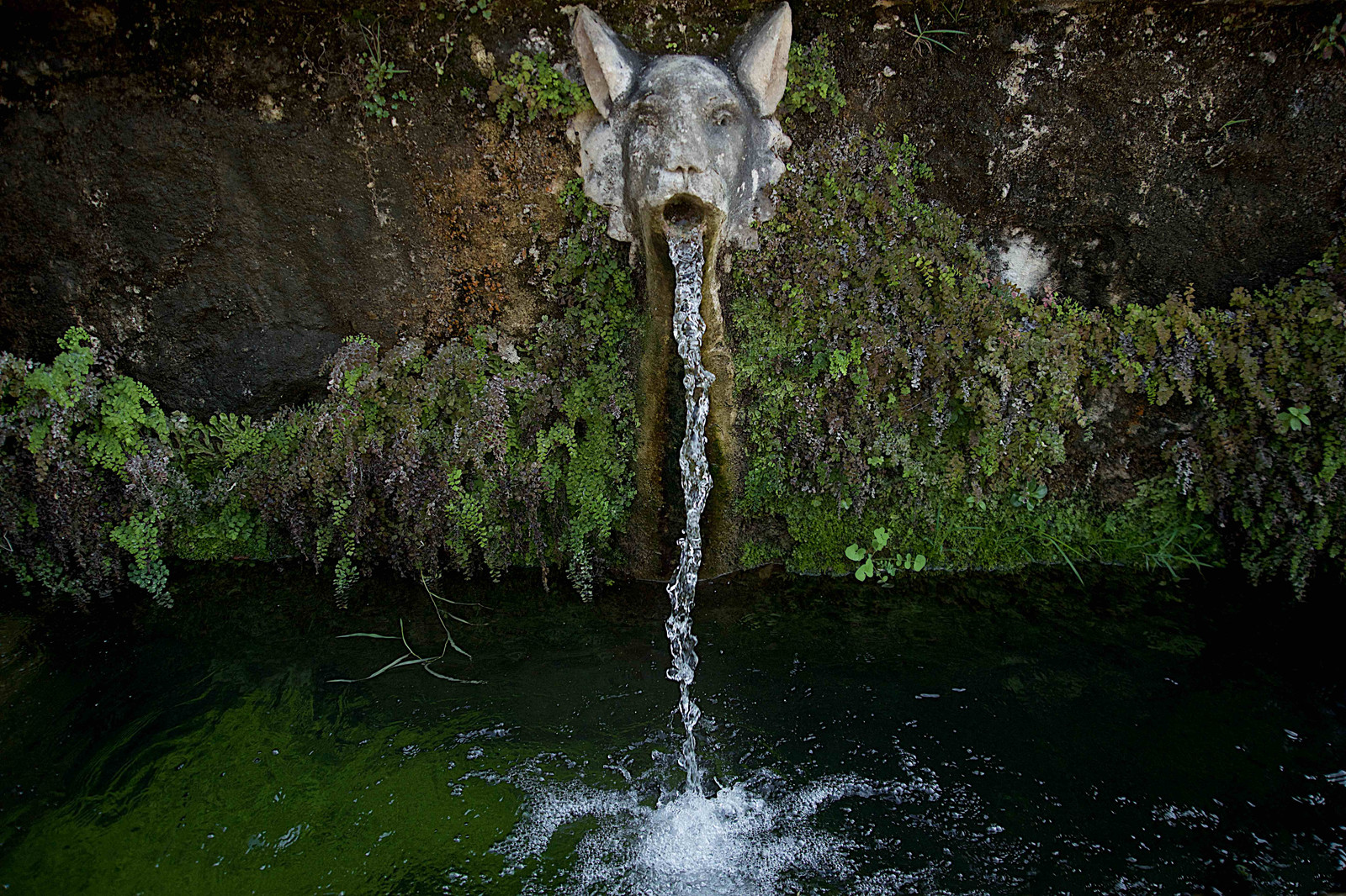Gargoyle fountain