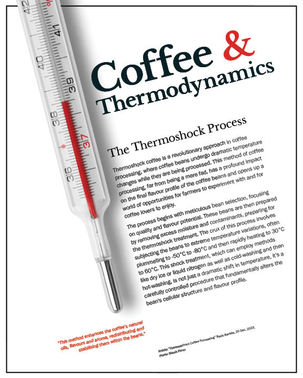 Thermoshock