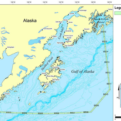 Action Alert: Stand for the Gulf